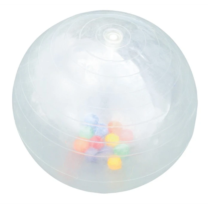 Ballon activité transparent 50 cm