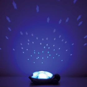 Tortue projecteur