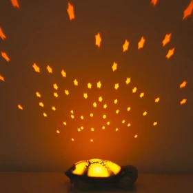 Tortue projecteur