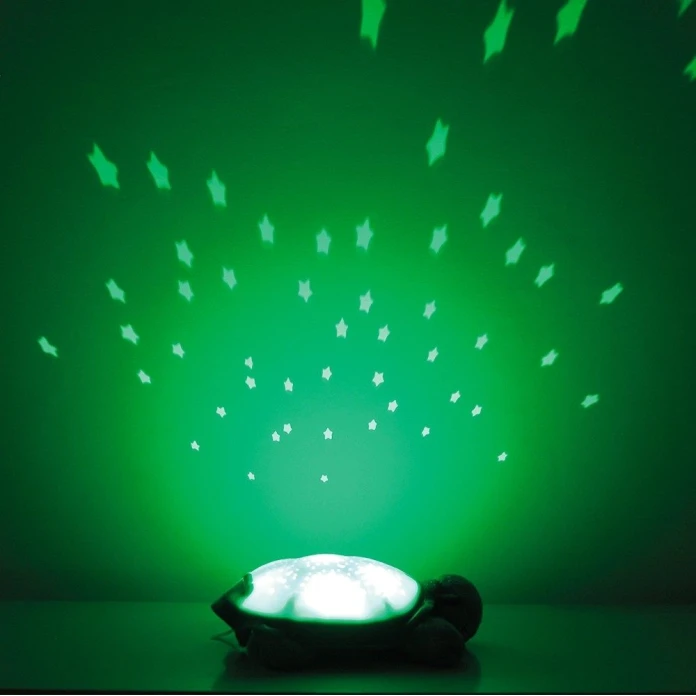 Tortue projecteur