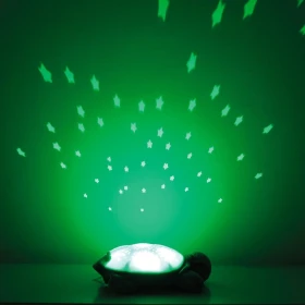 Tortue projecteur