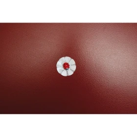 Fleurs à souffler