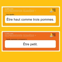 La boîte à mots: expressions imagées