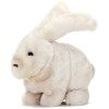 Lapin animé - adaptable