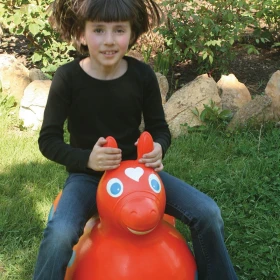 Grand rody cheval sauteur
