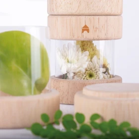 Tubes à trésors transparents