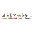Figurines Galápagos