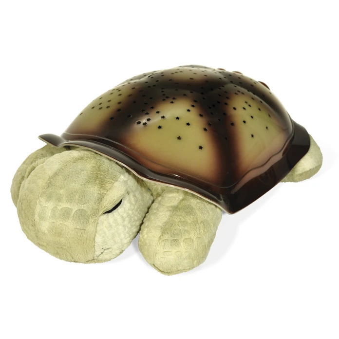 Tortue projecteur