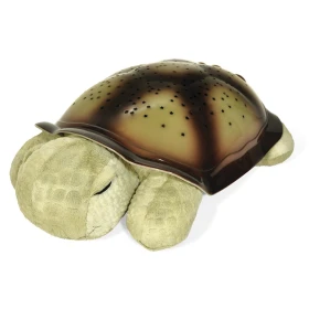 Tortue projecteur