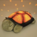 La veilleuse tortue