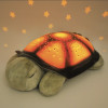La veilleuse tortue