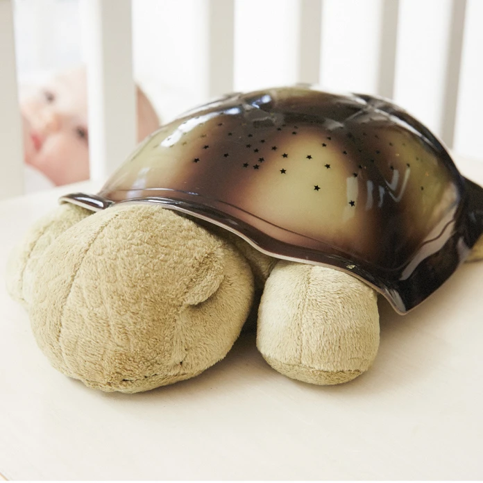 Tortue projecteur