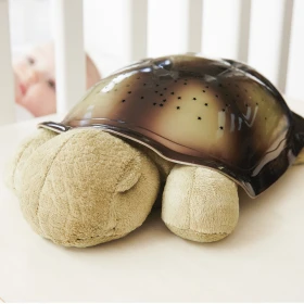 Tortue projecteur