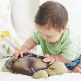 Tortue projecteur