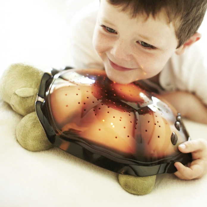 Tortue projecteur