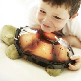 Tortue projecteur