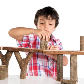 Blocs de construction naturels - branches