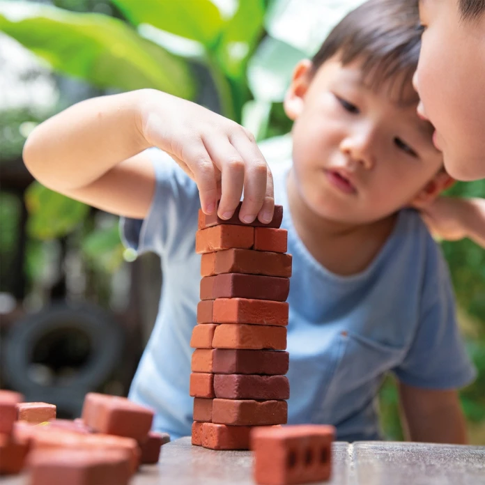 Petites briques de construction naturelles