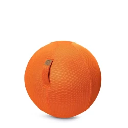 Sitting ball filet 55 cm