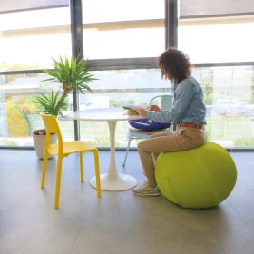 Sitting Ball filet 65 cm