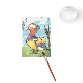 Aquapaint oiseaux magnifiques
