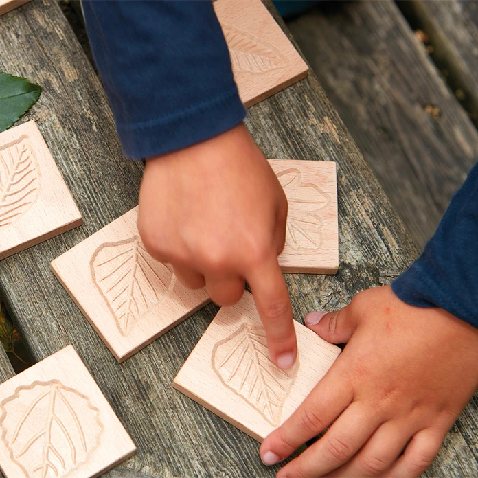 Memo sensoriel feuilles