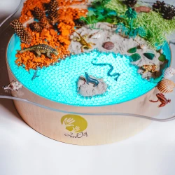 Bac d'exploration Magic Light - translucide