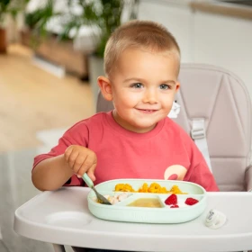 Assiette ventouse Ã&nbsp; compartiments