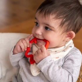 Anneau de dentition pieuvre rouge