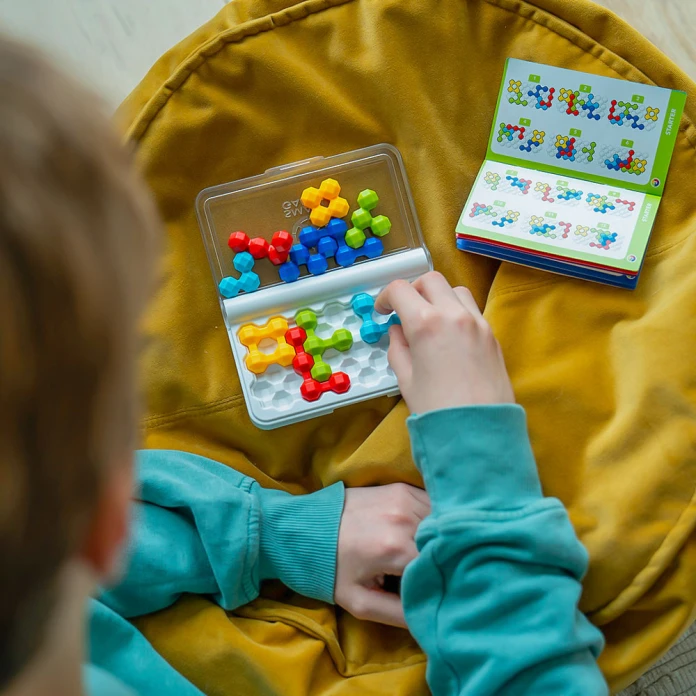 IQ Twins