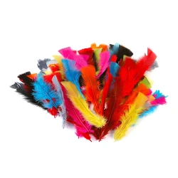 Sac plumes de couleurs