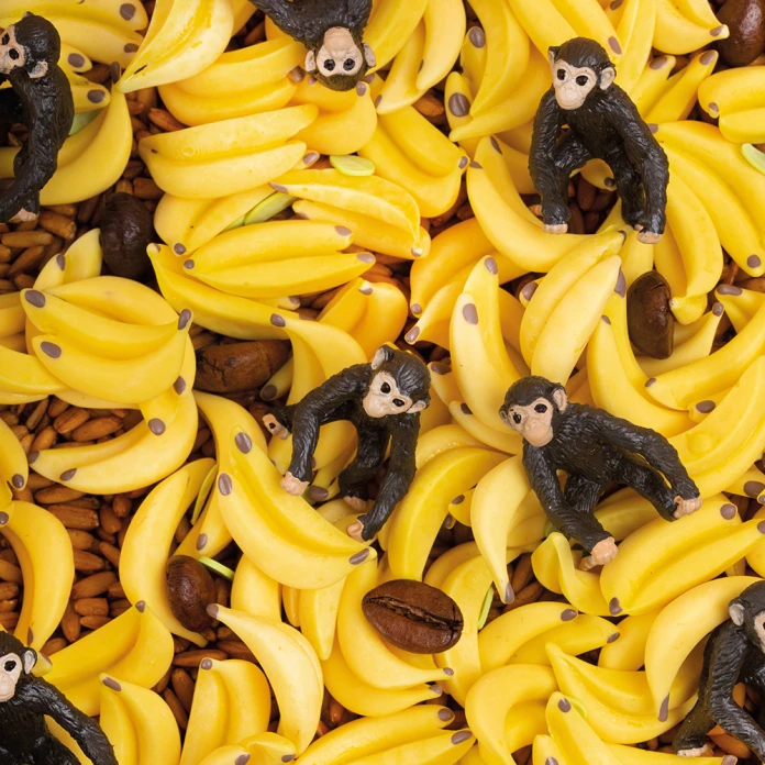 Bouteille bruit sensoriel - singe