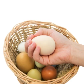 Oeufs sensoriels par 8
