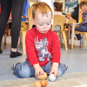 Oeufs sensoriels par 8
