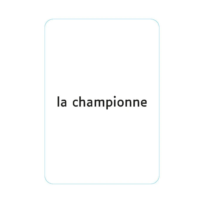 Morphosyntaxe : Flexions nominales en genre