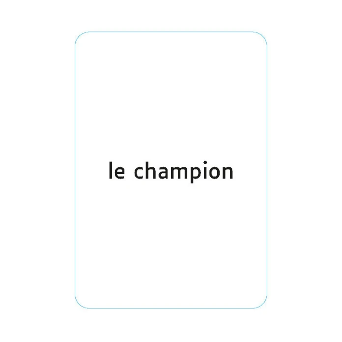 Morphosyntaxe : Flexions nominales en genre