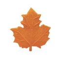 Anneau feuille d\'automne