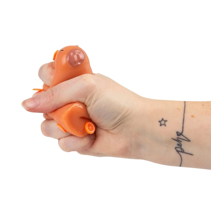 Capybara collant squishy