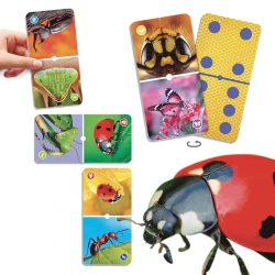 Natu’domino les insectes