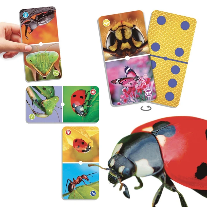 Natu’domino les insectes