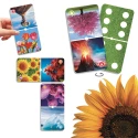 Natu\'domino les merveilles de la nature