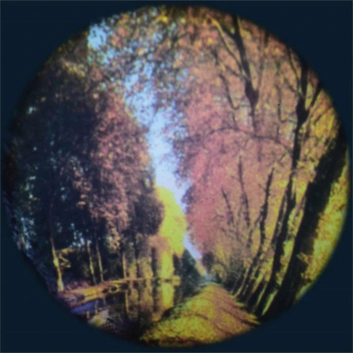 Disques thématiques projecteurs opti - Forêt