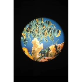 Disques thématiques projecteurs opti et aura - aquarium