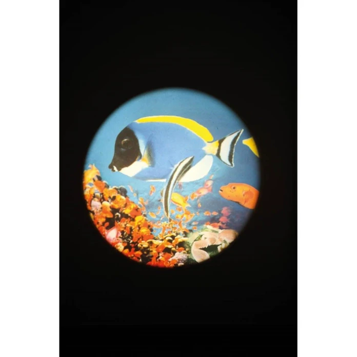 Disques thématiques projecteurs opti et aura - aquarium