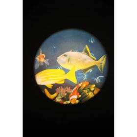 Disques thématiques projecteurs opti et aura - aquarium