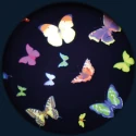 Disques thématiques projecteurs opti - papillons multicolores