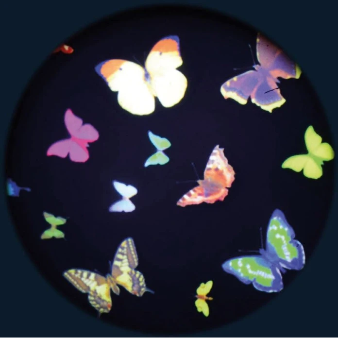 Disques thématiques projecteurs opti - papillons multicolores