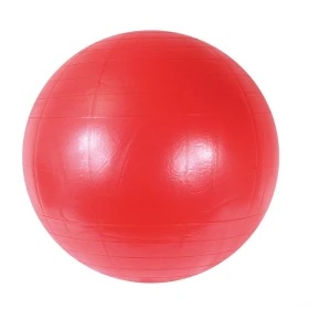 Ballon Bodyball - 55 cm