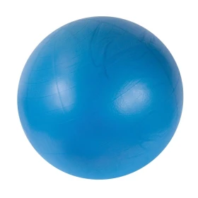 Ballon Bodyball - 65 cm