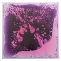 Les plaques sensori-motrices - Violet